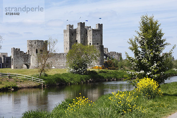 Trim Castle  Fluss Boyne  County Meath  Leinster  Republik Irland  Europa