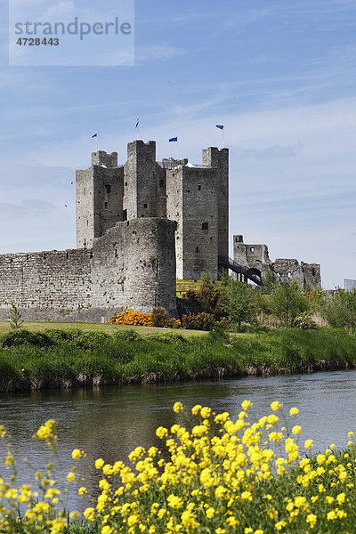 Trim Castle  Fluss Boyne  County Meath  Leinster  Republik Irland  Europa