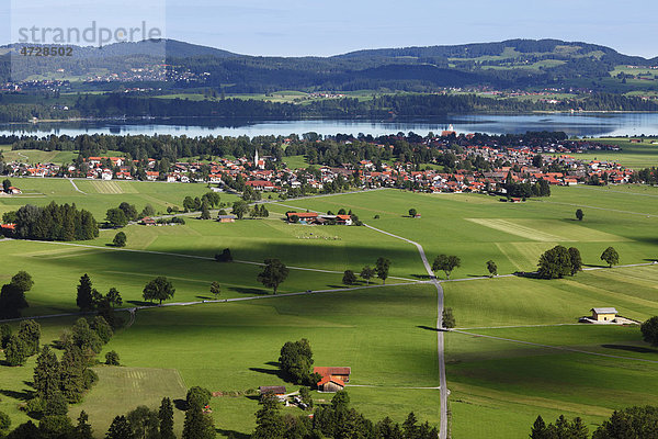 Blick über Schwangau und Waltenhofen mit Forggensee  Ostallgäu  Allgäu  Schwaben  Bayern  Deutschland  Europa