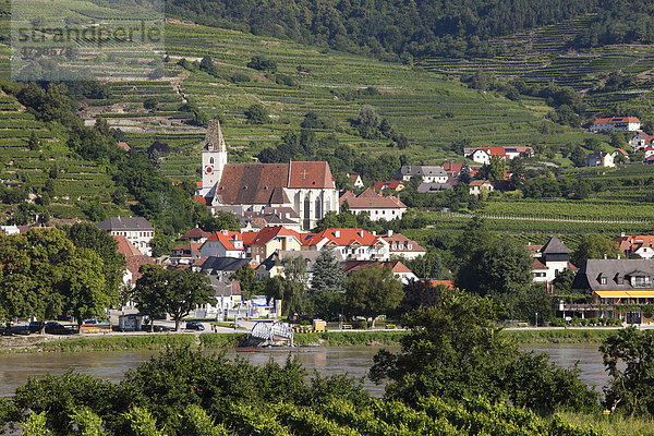 Spitz  Blick über Weinberge in Oberarnsdorf  Donau  Wachau  Waldviertel  Mostviertel  Niederösterreich  Österreich  Europa