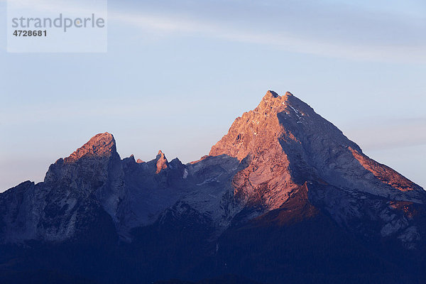 Watzmann  morgens  Blick von Kneifelspitze bei Berchtesgaden  Berchtesgadener Alpen  Berchtesgadener Land  Oberbayern  Bayern  Deutschland  Europa