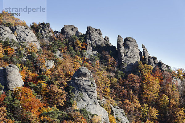 Felsen und herbstlicher Wald über Burgruine Dürnstein  Wachau  Waldviertel  Niederösterreich  Österreich  Europa