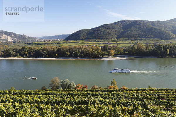 Weinberge Achleiten bei Weißenkirchen  Donau-Auen Venedigau  hinten Dürnstein  Wachau  Waldviertel  Mostviertel  Niederösterreich  Österreich  Europa