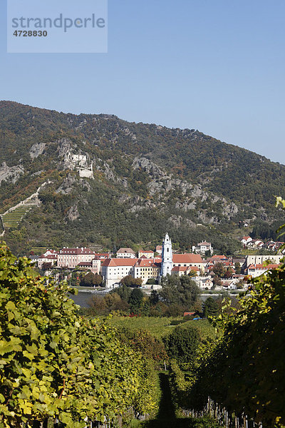 Dürnstein  Blick über Weinberge bei Rossatz und Donau  Wachau  Waldviertel  Mostviertel  Niederösterreich  Österreich  Europa