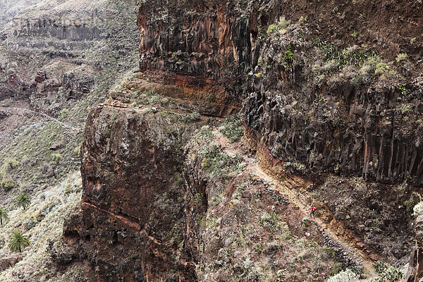 Wanderweg in Felswand  Barranco de Guarimiar bei AlajerÛ  La Gomera  Kanaren  Spanien  Europa