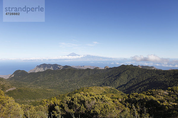 Bewaldete Berge im Nationalpark Garajonay  Blick vom Berg Garajonay  höchster Punkt von La Gomera  hinten Teneriffa  Kanaren  Spanien  Europa