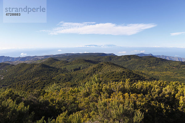 Bewaldete Berge im Nationalpark Garajonay  Blick vom Berg Garajonay  höchster Punkt von La Gomera  hinten La Palma  Kanaren  Spanien  Europa