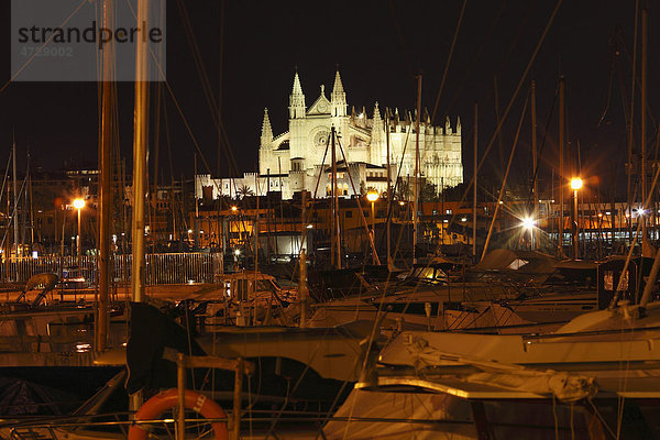 Hafen und Kathedrale La Seu  Palma de Mallorca  Mallorca  Balearen  Spanien  Europa