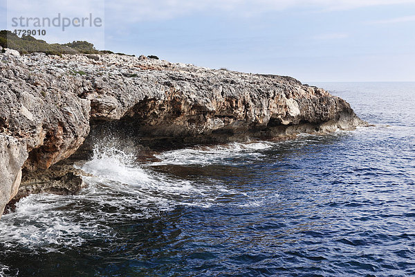 Felsküste  Naturschutzgebiet Punta de n'Amer  Mallorca  Balearen  Spanien  Europa
