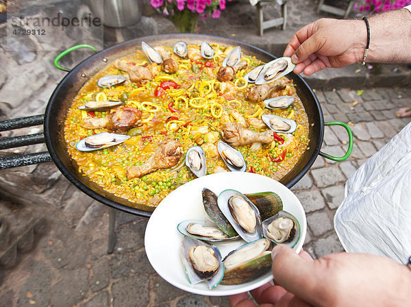 Ein Koch bereitet eine Paella  spanisches Reisgericht  zu  Zugabe von Muscheln  Serie  Nr. 4