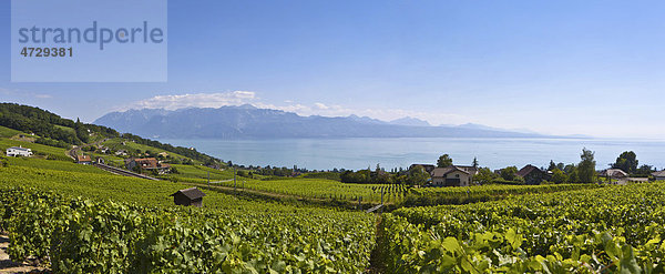 Blick über Lutry  Distrikt Lavaux-Oron  Kanton Waadt  Genfer See  Schweiz  Europa Kanton Waadt