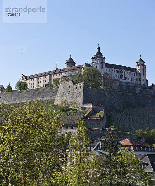 Blick auf die Festung Marienberg  Würzburg  Franken  Bayern  Deutschland  Europa