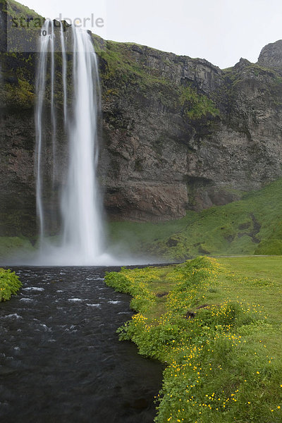 Wasserfall Seljalandsfoss  Island  Europa