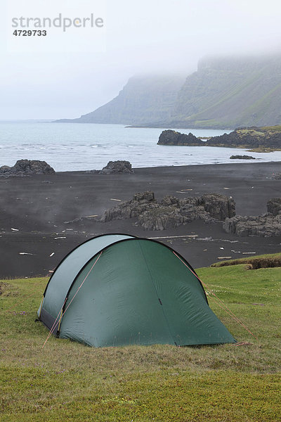 Einsames Zelt auf einer Wiese im Morgennebel  Osthöfn  Heradsfloi  Greenland Sea  Atlantikküste  Island  Europa