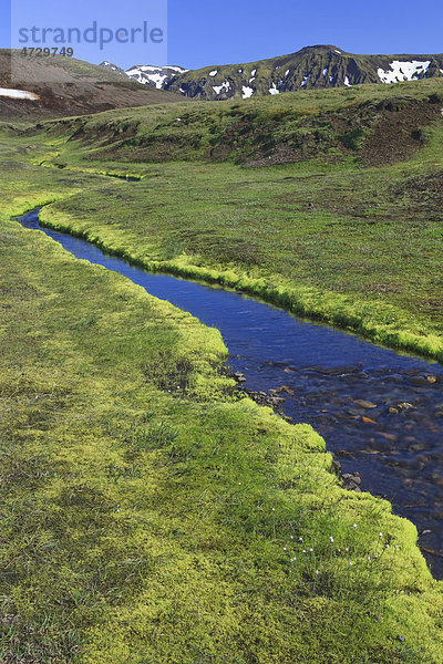 Klarer Bach in einer Vulkanlandschaft  Eyjafjallajökull  Island  Europa