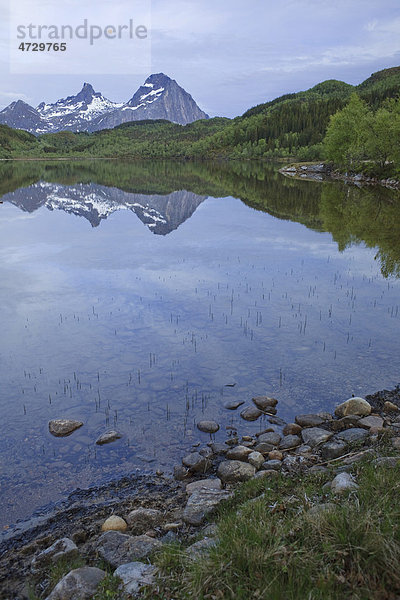 Spiegelungen auf der Wasseroberfläche eines Sees  Norwegen  Skandinavien  Europa