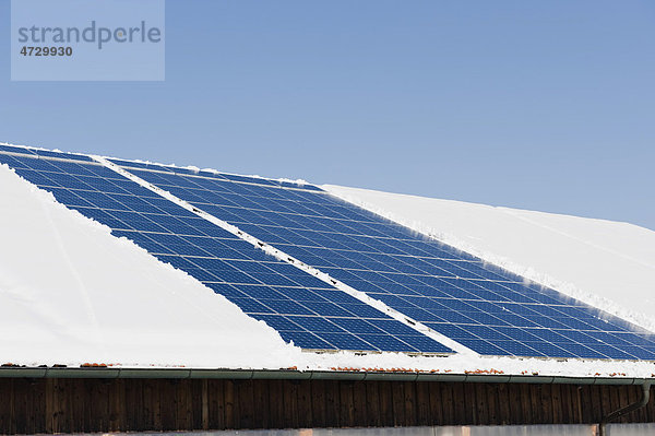 Vom Schnee freigeräumte Solarzellen auf verschneitem Dach im Winter  Landshut  Niederbayern  Bayern  Deutschland  Europa