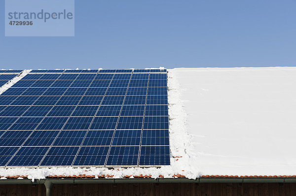 Vom Schnee freigeräumte Solarzellen auf verschneitem Dach im Winter  Landshut  Niederbayern  Bayern  Deutschland  Europa