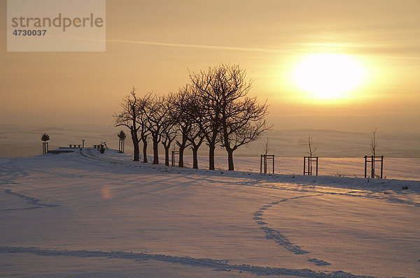 Winterliche Stimmungsaufnahme an der Rockauer Aussicht Sachsens Hiefel  Dresden  Schönfelder Hochland  Sachsen  Deutschland  Europa