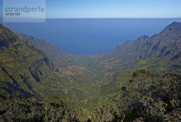 Kalalau Valley  Tal  Koke'e State Park  Staatspark  Kauai  Hawaii  USA