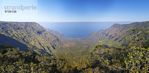 Kalalau Valley  Tal  Koke'e State Park  Staatspark  Kauai  Hawaii  USA