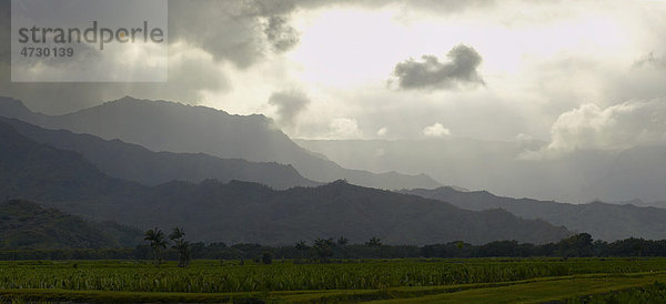 Hanalei Valley  Tal  Hanalei  Kauai  Hawaii  USA