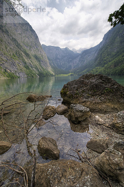 Obersee  südöstlich des Königssees  in den Berchtesgadener Alpen  Oberbayern  Bayern  Deutschland  Europa