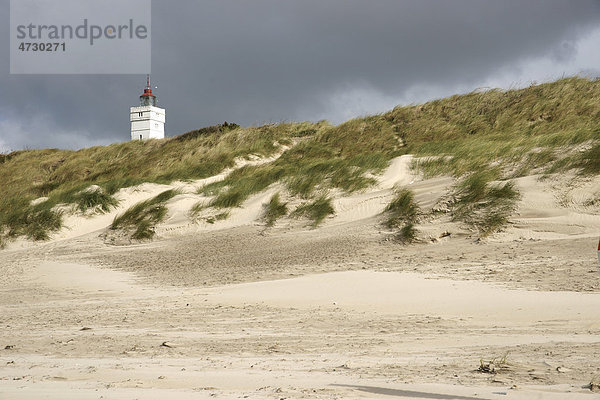 Leuchtturm in Sanddünen  Nordsee  Blavand  Dänemark  Europa