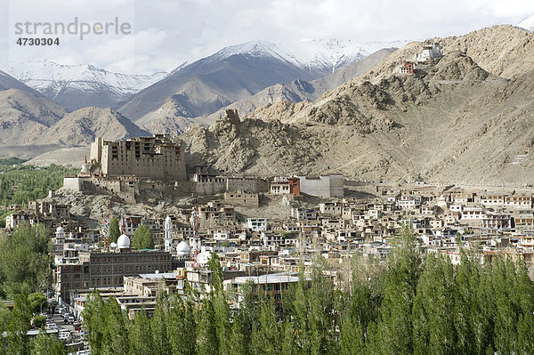 Blick auf die Stadt Leh am Berghang  alter Königspalast  Region Ladakh  Bundesstaat Jammu und Kaschmir  Kashmir  Indien  Südasien  Asien