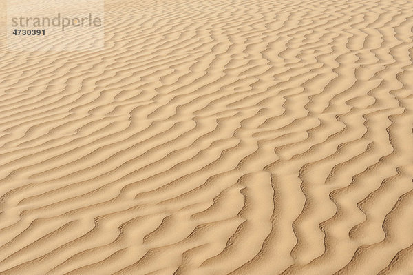 Gelber Sand mit Rippelmarken  Wüste  Sahara  Südtunesien  Tunesien  Maghreb  Nordafrika  Afrika