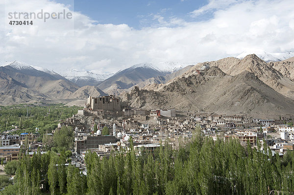 Blick von oben auf die Altstadt von Leh  alter Königspalast  Pappeln  Gebirgslandschaft  Distrikt Ladakh  Bundesstaat Jammu und Kaschmir  Indien  Südasien  Asien