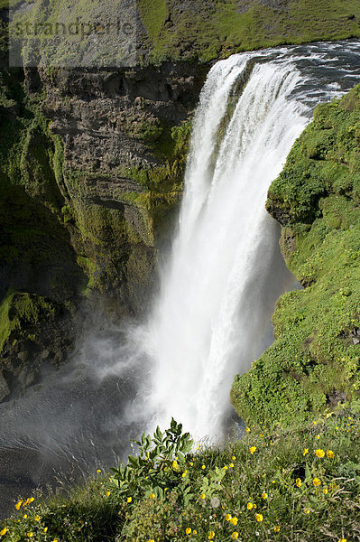 Großer Wasserfall SkÛgafoss  Skogafoss  Skogar  Island  Skandinavien  Nordeuropa  Europa