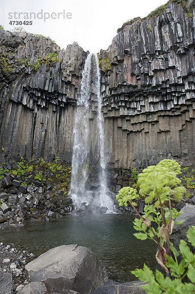 Wasserfall Svartifoss  Wasser stürzt über Felskante  Basaltsäulen  Skaftafell-Nationalpark  nun Vatnajökull-Nationalpark  Island  Skandinavien  Nordeuropa  Europa