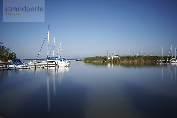 Segelhafen mit einigen Segelbooten am Neusiedler See  Mole West  Burgenland  Österreich  Europa