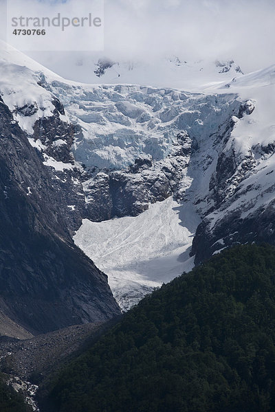 Gletscher Torrecillas  Parque Nacional Los Alerces  Patagonien  Argentinien  Südamerika