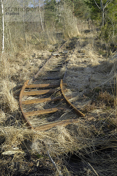 Aufgelassene Gleisanlage in Torfabbaugebiet  Stammbecken Moor  bei Rosenheim  Voralpenland  Bayern  Deutschland  Europa