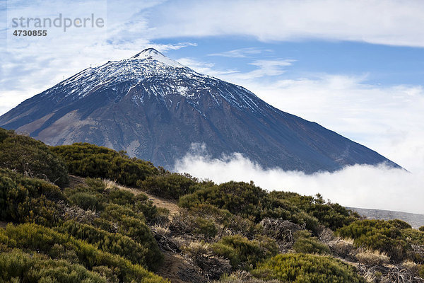 Blick auf den Pico del Teide  Teneriffa  Kanarische Inseln  Spanien  Europa