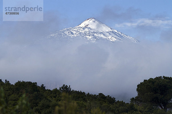 Blick auf den Pico del Teide  über Wolken  Teneriffa  Kanarische Inseln  Spanien  Europa