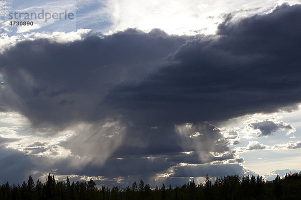 Aufziehendes Gewitter  Cumulonimbus oder Kumulonimbus Wolken  Gewitterwolken  Yukon Territory  Kanada