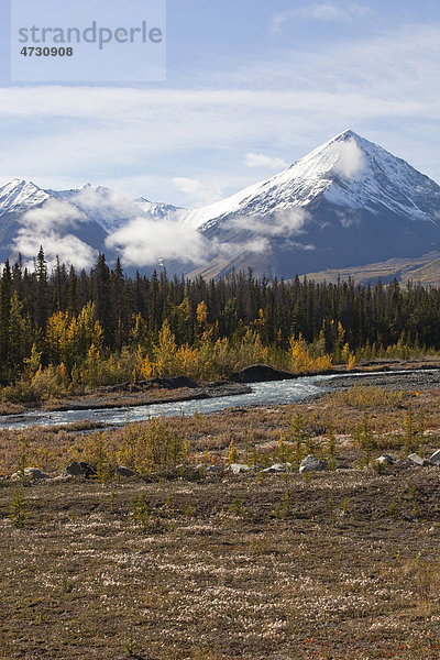 Der Bach Quill Creek  Altweibersommer  herbstlich gefärbte Blätter  Herbst  St. Elias Mountains  Eliaskette  hinten der Kluane-Nationalpark  Yukon Territorium  Kanada