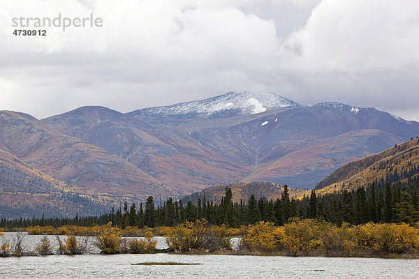 Der See Fish Lake und die umliegende subalpine Tundra  Altweibersommer  herbstlich gefärbte Blätter  Herbst  Yukon Territorium  Kanada