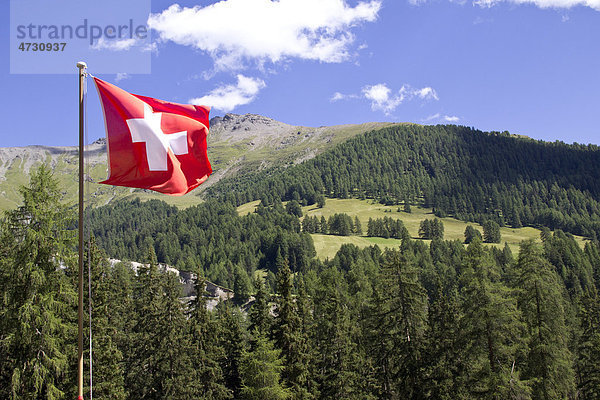 Berglandschaft mit Schweizer Nationalfahne  Unterengadin  Graubünden  Schweiz  Europa