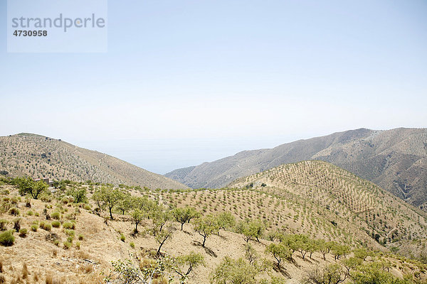 Ausläufer der Sierra Nevada  Andalusien  Südspanien  Spanien  Europa