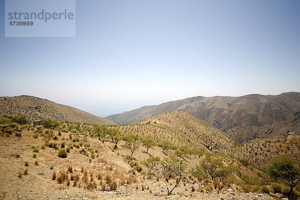 Ausläufer der Sierra Nevada  Andalusien  Südspanien  Spanien  Europa