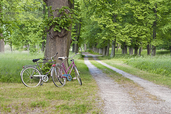 Zwei Fahrräder  die an einer Schotterstraße abgestellt wurden  Schweden  Europa
