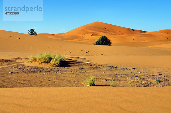 Sanddünen  Erg Chebbi  Marokko  Afrika