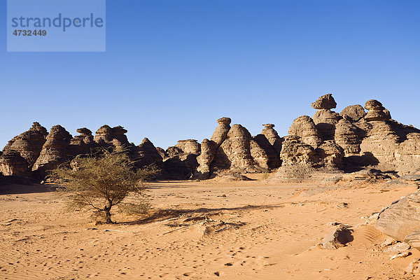 Felsformationen in der libyschen Wüste  Wadi Awis  Akakus Gebirge  Libyen  Nordafrika  Afrika
