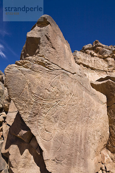 Steingravuren im Wadi Mathendous  Elefant  Wadi Barjuj  Steinwüste  Libyen  Sahara  Nordafrika  Afrika