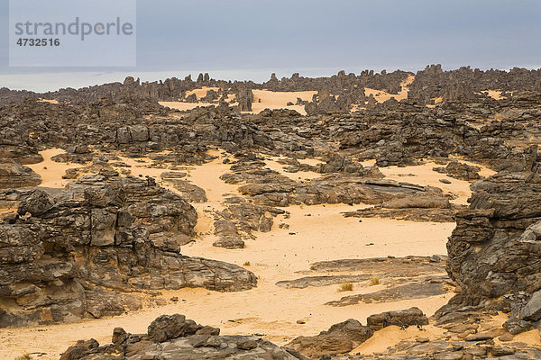 Steinwüste  Tassili Maridet  libysche Wüste  Libyen  Sahara  Nordafrika  Afrika