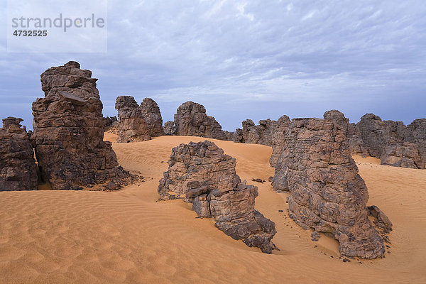 Steinwüste  Tassili Maridet  libysche Wüste  Libyen  Sahara Nordafrika  Afrika